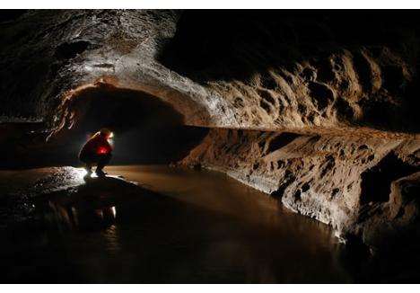 Peştera Vântului din Şuncuiuş este cel mai lung labirint subteran descoperit în România, având o lungime de peste 42 de kilometri