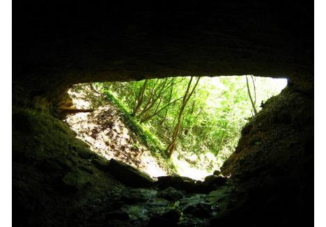 Peștera Tășad (foto: mapio.net)