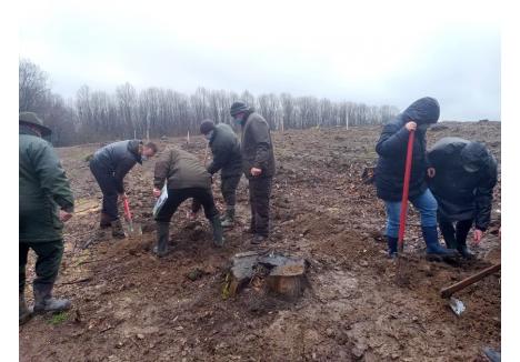 sursa foto: Direcţia Silvică Bihor