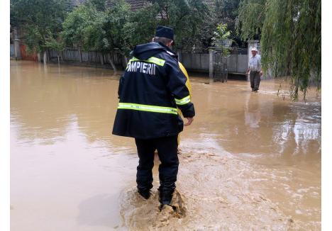 foto: arhivă