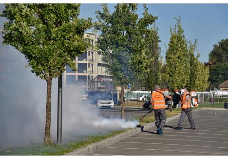 Foto: Szilágyi Lóránd / BIHOREANUL