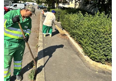 În paralel cu colectarea resturilor vegetale lăsate de orădeni în fața caselor sau a blocurilor, muncitorii RER Vest vor aduna frunzele și de pe domeniul public