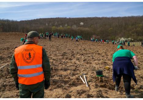 Campania de primăvară a Direcției Silvice a început cu o acțiune de plantare organizată în parteneriat cu CJ Bihor, sâmbătă, lângă Betfia
