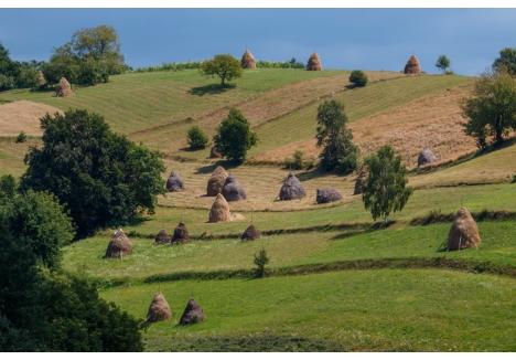 Aria naturală protejată Munţii Pădurea Craiului (foto: Andrei Posmoşanu)