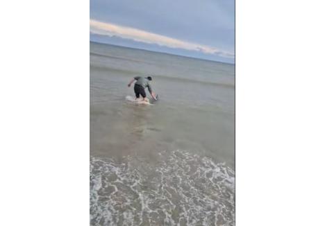 foto: capturi video Facebook