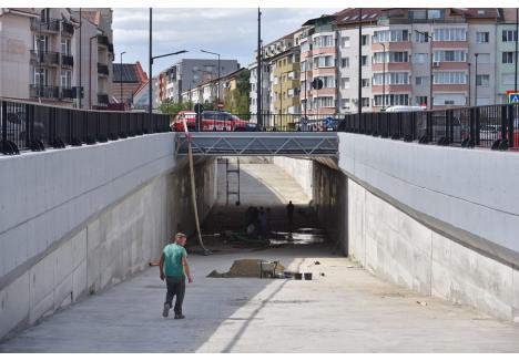 Foto: Szilágyi Lóránd / BIHOREANUL