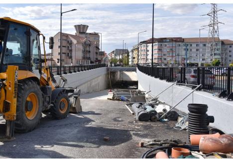 Foto: Szilágyi Lóránd / BIHOREANUL