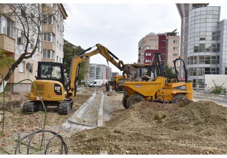Foto: Szilágyi Lóránd / BIHOREANUL