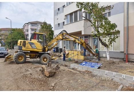 Foto: Szilágyi Lóránd / BIHOREANUL