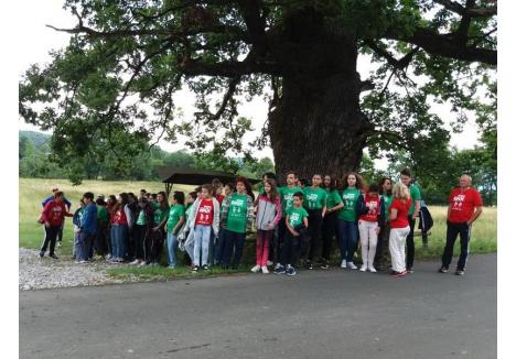 La ediţiile precedente ale concursului, elevii au vizitat şi stejarul secul din Remetea