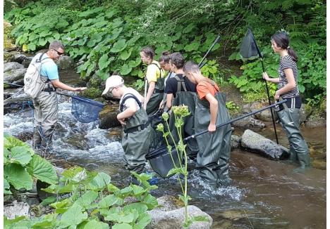 În taberele Junior Ranger, elevii învaţă şi să recunoască speciile de peşti (foto: arhivă)