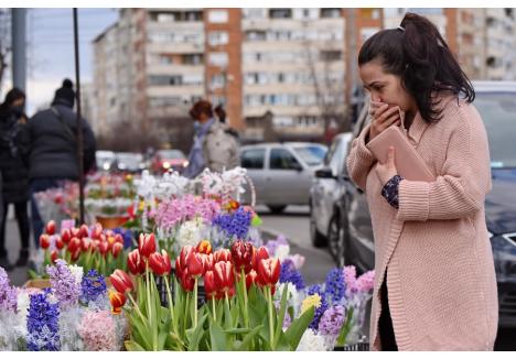 Cel mai râvnit amplasament pentru vânzarea de mărțișoare și flori la început de primăvară, situat în Calea Aradului, va fi închiriat la sume de 150 ori mai mari decât cea de pornire.