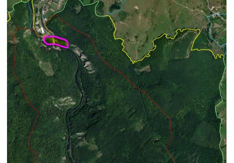 Linia galbenă delimitează Situl Natura2000, cea roşie rezervaţia naturală, iar cea roz şantierul