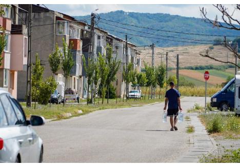Foto: Paul Lelea / BIHOREANUL