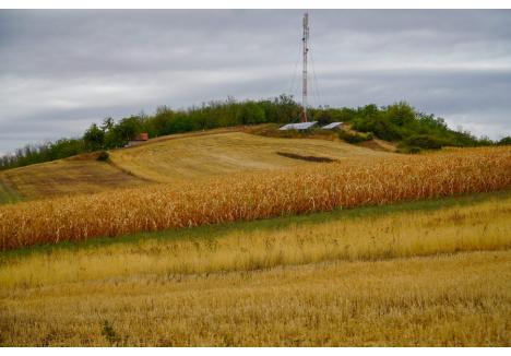 Foto: Paul Lelea / BIHOREANUL