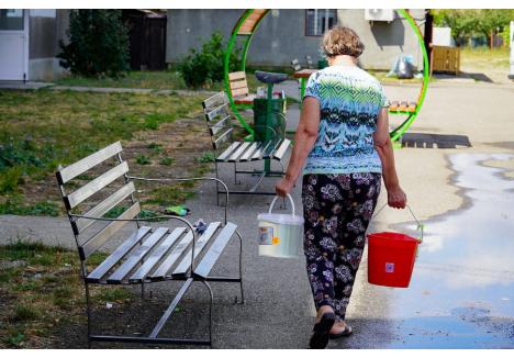 Foto: Paul Lelea / BIHOREANUL