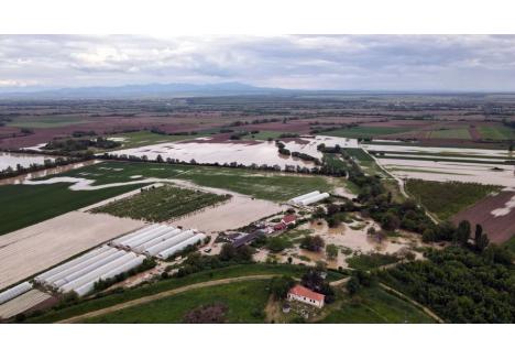 La Tinca, Crişul Negru a inundat mai multe terenuri agricole (sursa: ABA Crişuri)