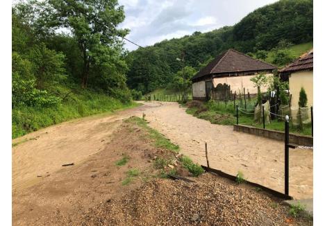 Viitura a inundat uliţele şi casele din Valea de Sus, comuna Câmpani (foto: Horia Dumitraş)
