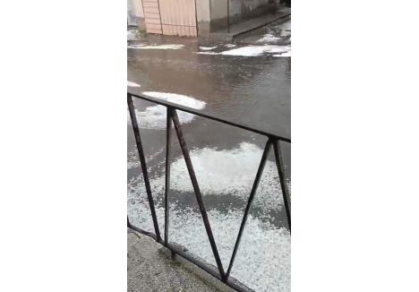 captură Facebook / Meteo Tulca