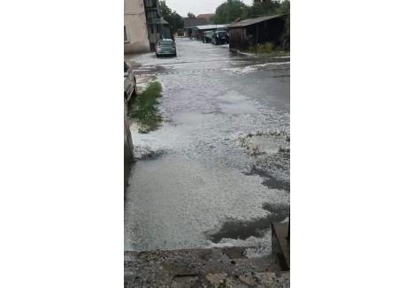 captură Facebook / Meteo Tulca