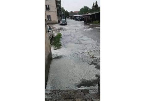 captură Facebook / Meteo Tulca