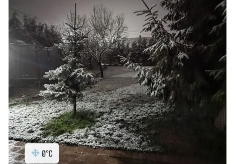 (sursa foto: Facebook / Meteo Bihor)