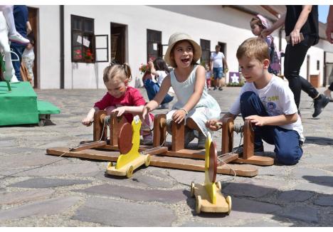 Foto: Szilágyi Lóránd / BIHOREANUL