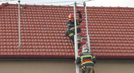 Sezonul coșurilor de fum în flăcări: Incendiu la hornul unei case din Oradea