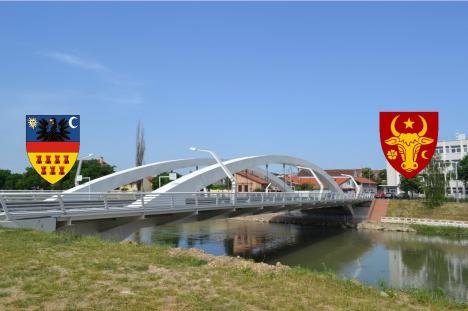 Fântână arteziană tricoloră de-a lungul Podului Ladislau! Ce au mai cerut orădenii în cele 66 de proiecte de bugetare participativă depuse în această sesiune (FOTO)