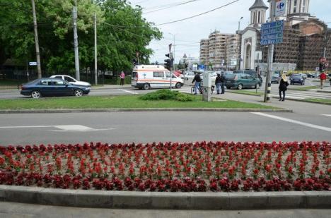 Oradea înflorită (FOTO)