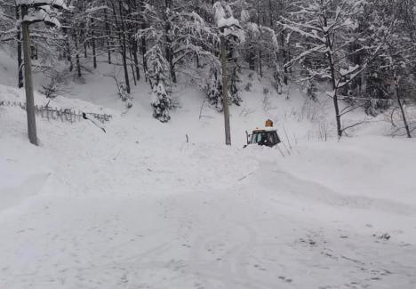 O nouă avalanşă pe DN 75, în zona Vârtop (FOTO)