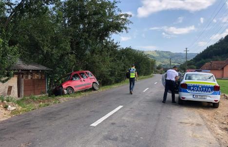 Accident cu 4 victime, la Bulz: Şoferul a pierdut controlul maşinii şi a intrat într-un copac, iar apoi într-un gard (FOTO)
