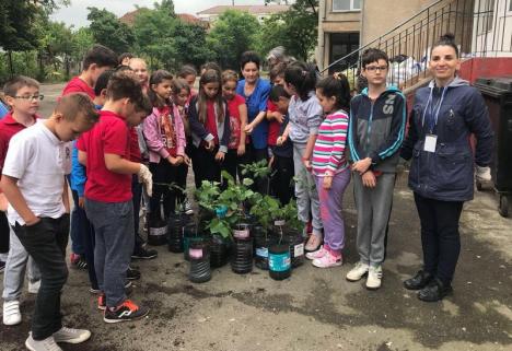 Let’s Get Green: Elevii de la Şcoala 11 au plantat 100 de puieţi de arbori (FOTO)