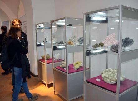 ”Zestrea Minerală a Maramureșului”: Un ”buchet” de flori de mină la Muzeul Orașului Oradea (FOTO)