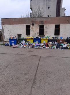 Gunoaie lăsate pe străzi, în Salonta. Două asociaţii de proprietari refuză să încheie contract cu AVE Bihor