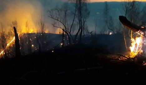 Incendiu uriaş pe Valea Aleului: 30 de hectare de pământ au ars, pompierii au luptat cu flăcările aproape 6 ore (FOTO)