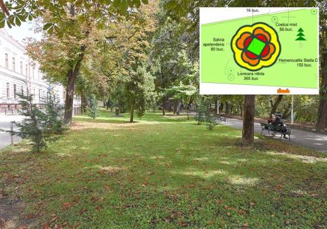 Libertate deplină: Dans, teatru, lecții de ecologie și alte evenimente interesante, în Parcul Libertății din Oradea