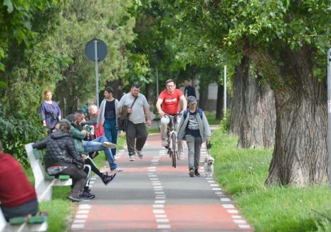 Pe biţă, în pericol! Lipsa pistelor dedicate exclusiv bicicliştilor face din Oradea un oraş prea puţin prietenos pentru transportul pe două roţi