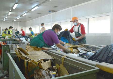 Plătiţi să reciclăm: Oradea va primi circa 1,6 milioane lei pe an de la producătorii de ambalaje, ca să recicleze aceste deşeuri