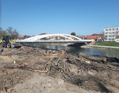 „Masacrare în vreme de izolare”: Ecologiştii acuză că în Oradea se taie copaci „pe furiş”. Primăria spune că sunt tăieri autorizate (FOTO)