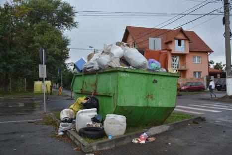 Oradea, mai 'uşoară' cu 820 de tone de gunoaie