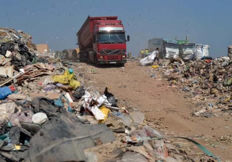 Gunoaie de 'import': Pentru că în judeţele lor nu au un depozit ecologic, 12 firme de salubritate din afara Bihorului aduc deşeurile la Oradea