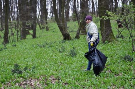 Voluntari pentru păduri curate: Ecologiştii şi silvicii au adunat gunoaiele din pădurea de pe dealurile Oradiei (FOTO)