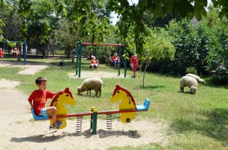Armonie: În curtea Liceului Don Orione, copiii se joacă printre animale