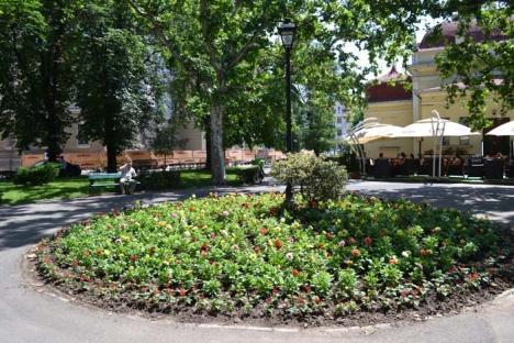 Licitaţie pentru parcurile mari din Oradea