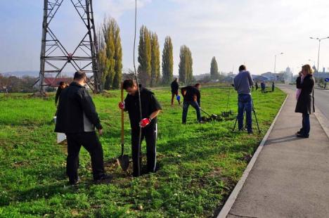 Copaci pentru tot oraşul: În această toamnă, în Oradea vor fi plantaţi peste 800 de puieţi, fiecare cu o garanţie de doi ani
