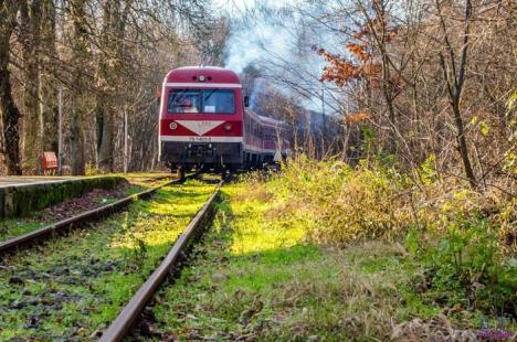 Fără tren între Oradea şi Felix