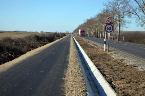 Pistă de... lipeală: Oradea va avea prima pistă pentru biciclişti ce va străbate tot oraşul