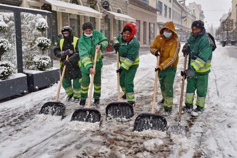 Oradea ieri, Oradea azi: Cum trebuiau îngrijite străzile orașului în perioada interbelică