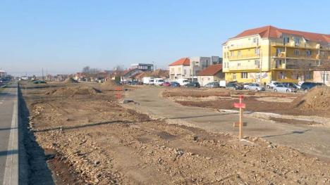 Oradea ieri, Oradea azi: Fostă arteră industrială, zona Barcăului devine parc cu terenuri de sport
